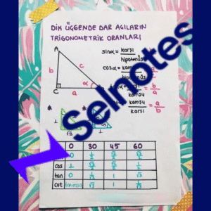 Trigonometri
