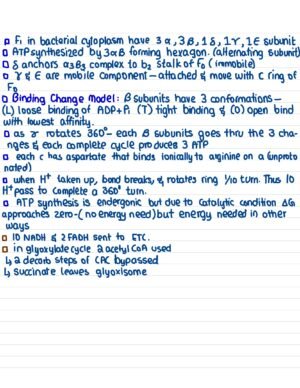GENE 103 notes - 1 - Image 2