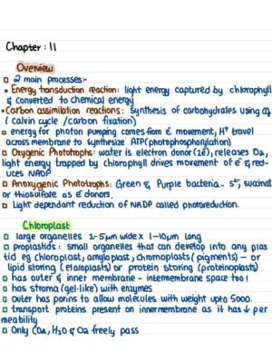 GENE 103 notes - 1 - Image 3
