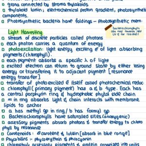 GENE 103 notes - 1 - Image 4