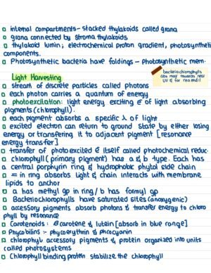 GENE 103 notes - 1 - Image 4
