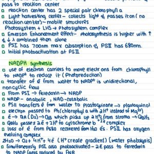 GENE 103 notes - 1 - Image 5