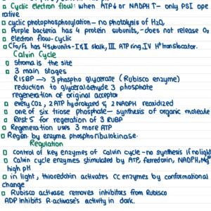 GENE 103 notes - 1 - Image 6