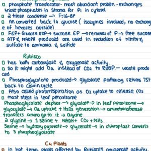 GENE 103 notes - 1 - Image 7