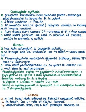 GENE 103 notes - 1 - Image 7