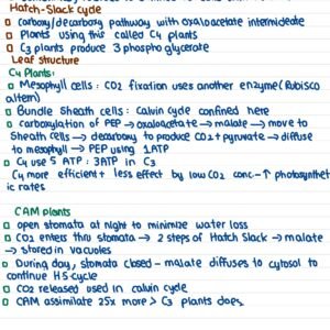 GENE 103 notes - 1 - Image 8