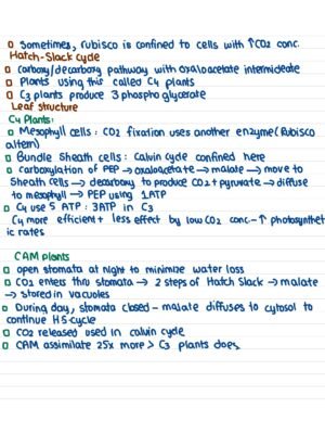GENE 103 notes - 1 - Image 8