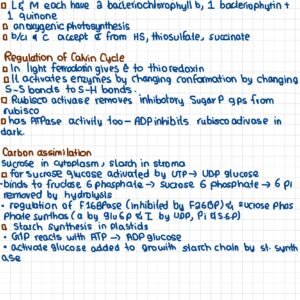 GENE 103 notes - 1 - Image 9