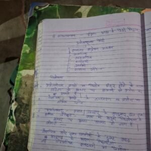 Hindi bcom ch 1 - Image 3
