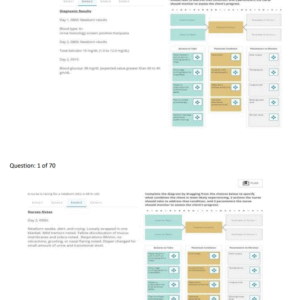 PN ATI Maternal Newborn 2024 70 QUESTINS AND ANSWERS with NGN - Image 3