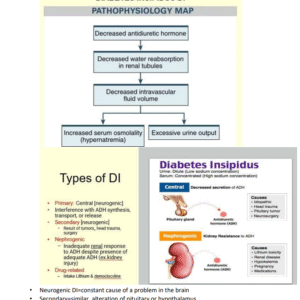 Diabetes Insipidus (DI) PATHOPHYSIOLOGY MAP 2025-2026 LATEST - Image 4