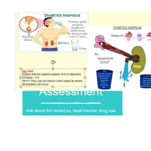 Diabetes Insipidus (DI) PATHOPHYSIOLOGY MAP 2025-2026 LATEST - Image 3