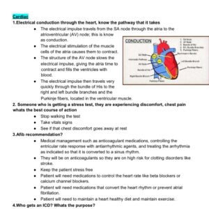 HESI-MedSurg 2 Final Exam 2025-2026 LATEST ALREADY GRADED A+ - Image 1