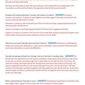 A&P 102 MIDTERM EXAM IVY TECH 2 LATEST VERSIONS (VERSION A AND B) 2025-2026 ACTUAL EXAM 200 QUESTIONS AND CORRECT ANSWERS |ALREADY GRADED A+ - Image 2