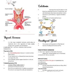 HUMAN ANATOMY AND PHYSIOLOGY WITH PATHOPHYSIOLOGY 2026 FIRST SEMISTER LECTURE NOTES - Image 4
